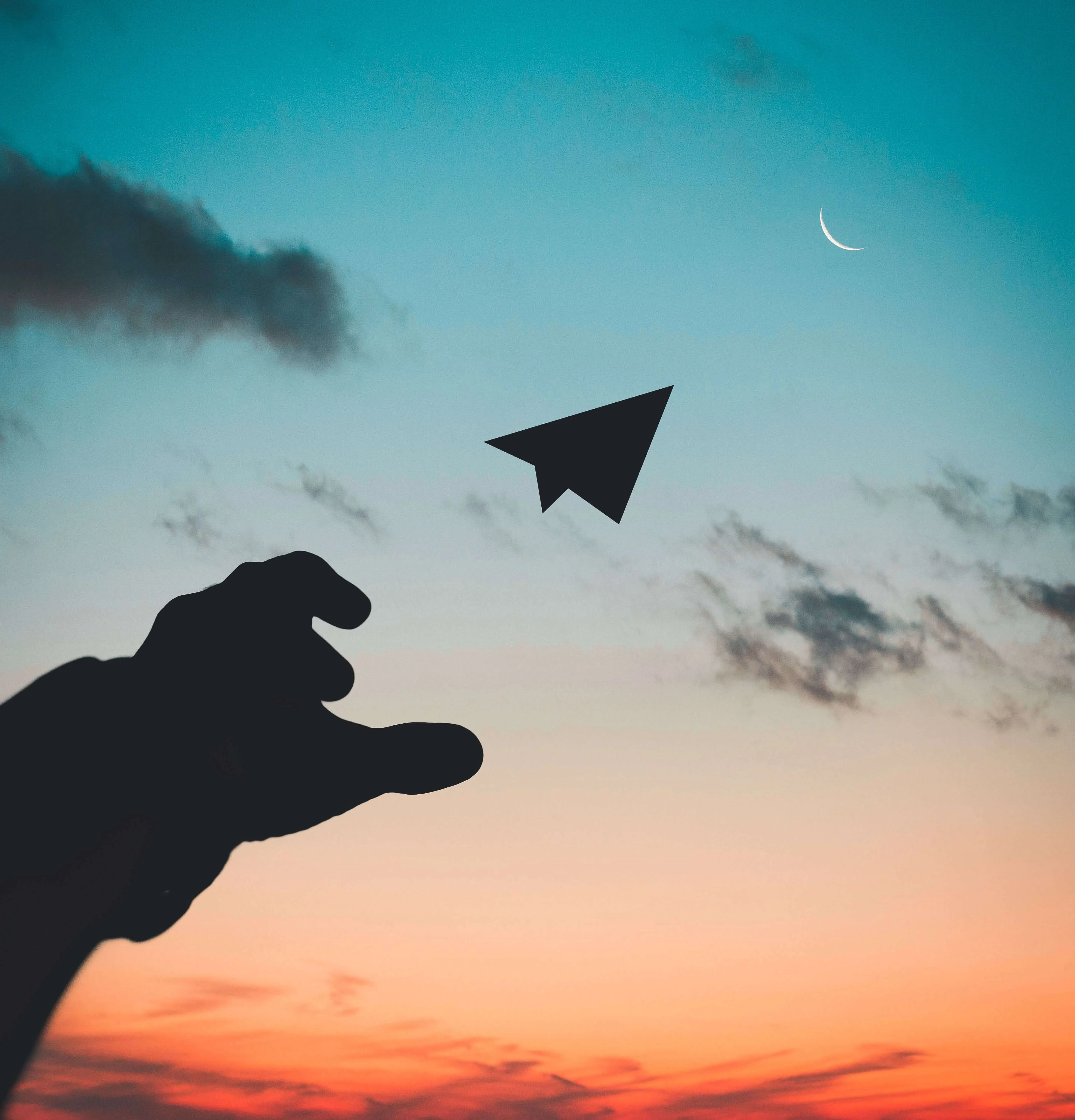 Fly Design